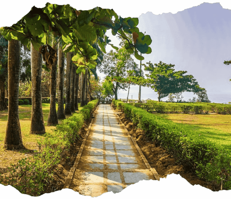 Self Drive Car Rental in Goa